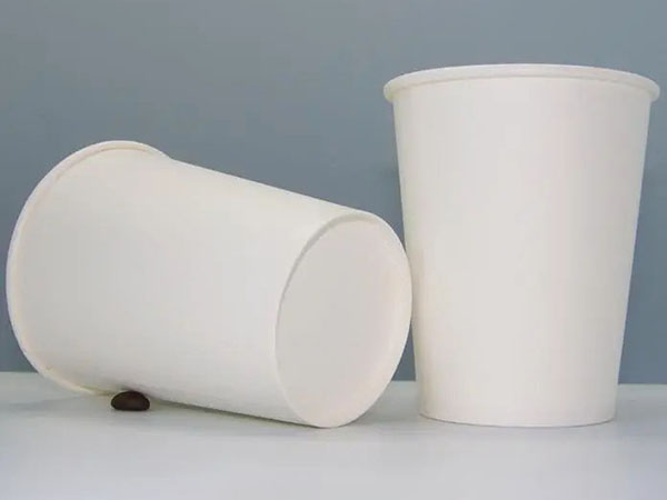 Paper Cup Apparatus - Libitum Paper Introductio